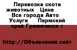 Перевозка скота животных › Цена ­ 39 - Все города Авто » Услуги   . Пермский край,Гремячинск г.